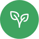 Vegan & Cruelty-Free