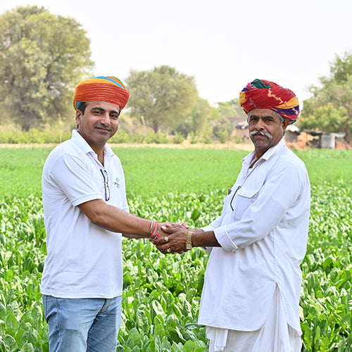 Organic India
