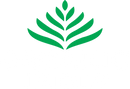 Organic India