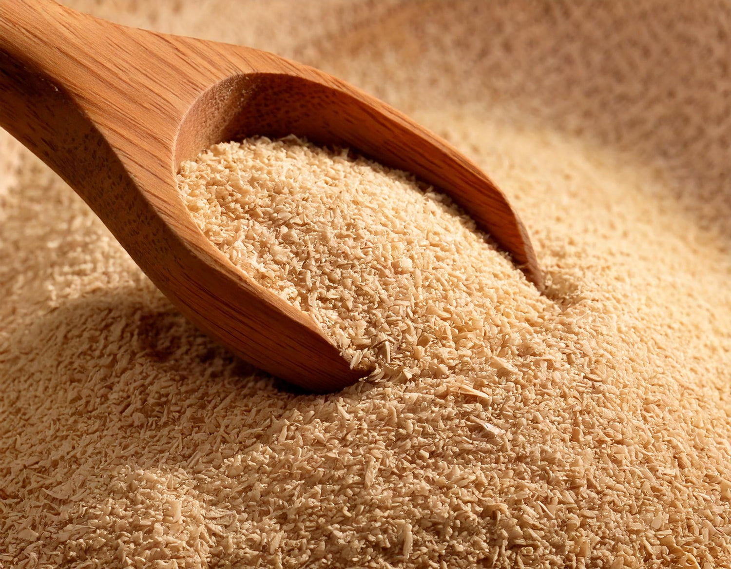 What is Psyllium Whole Husk Fibre?