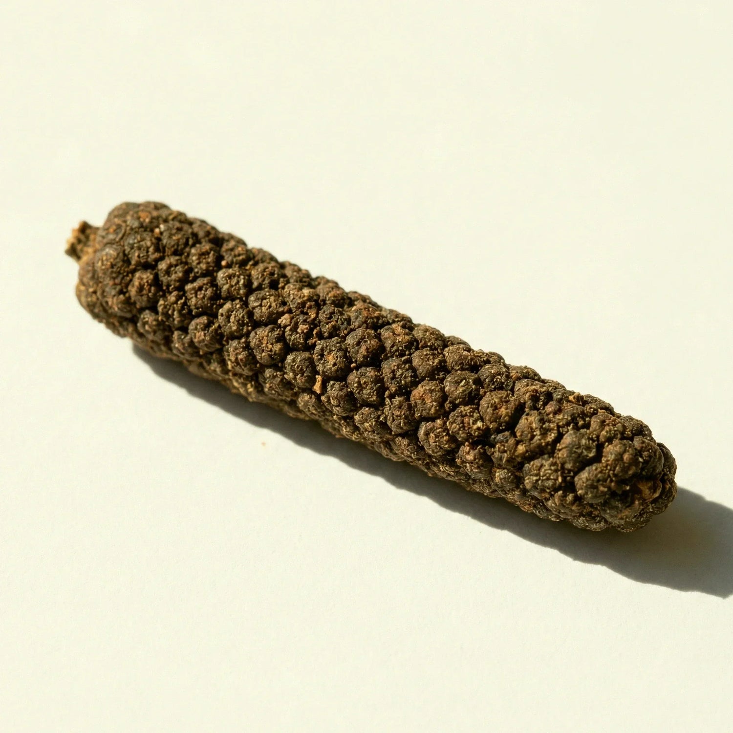 Long Pepper