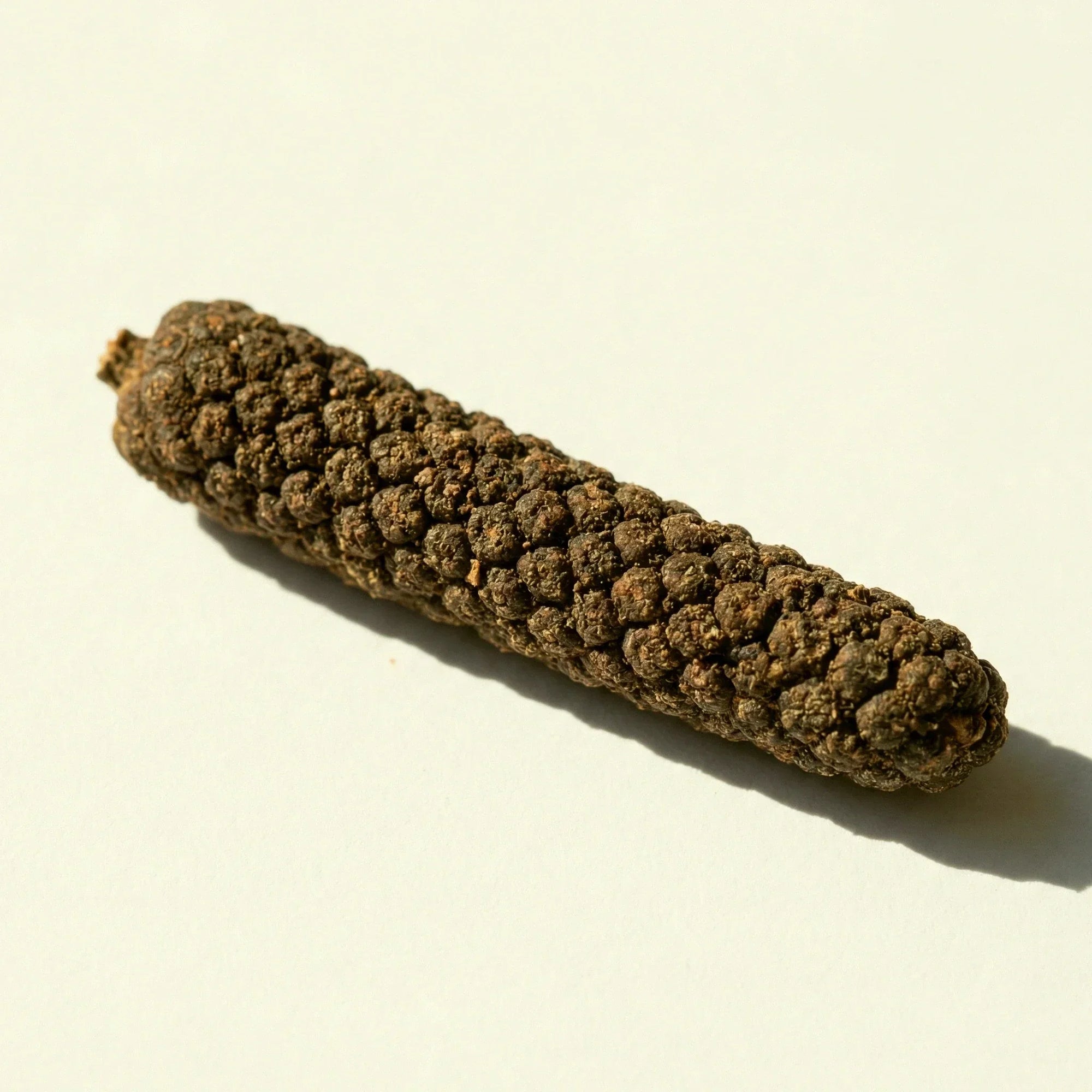 Long Pepper