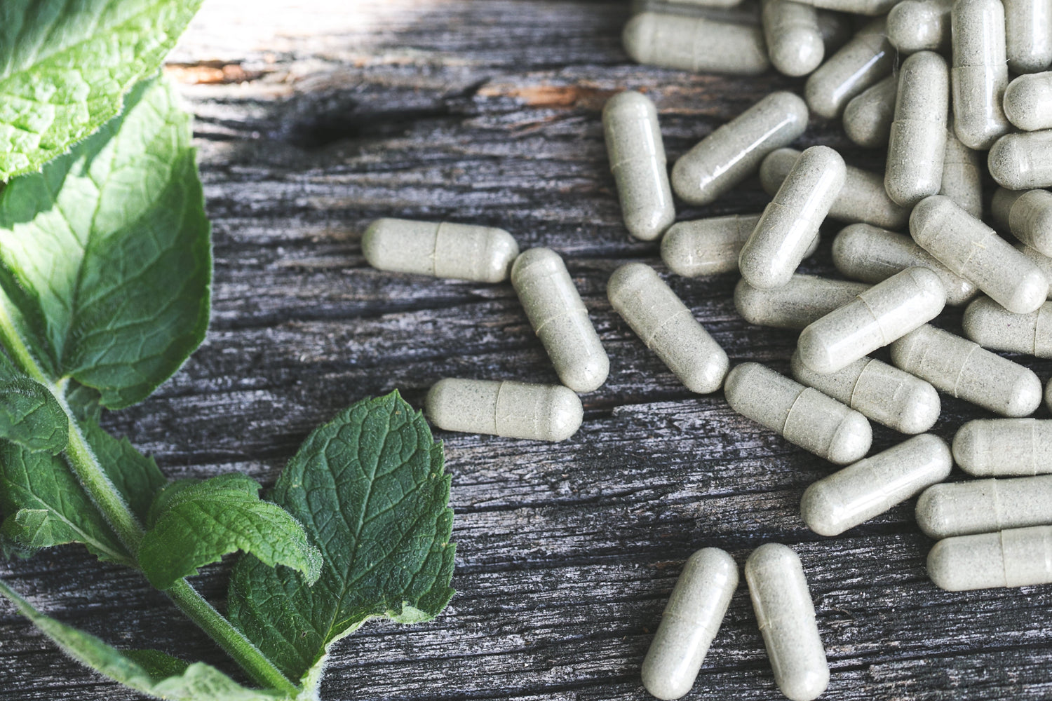 What is Brahmi Gotu Kola?