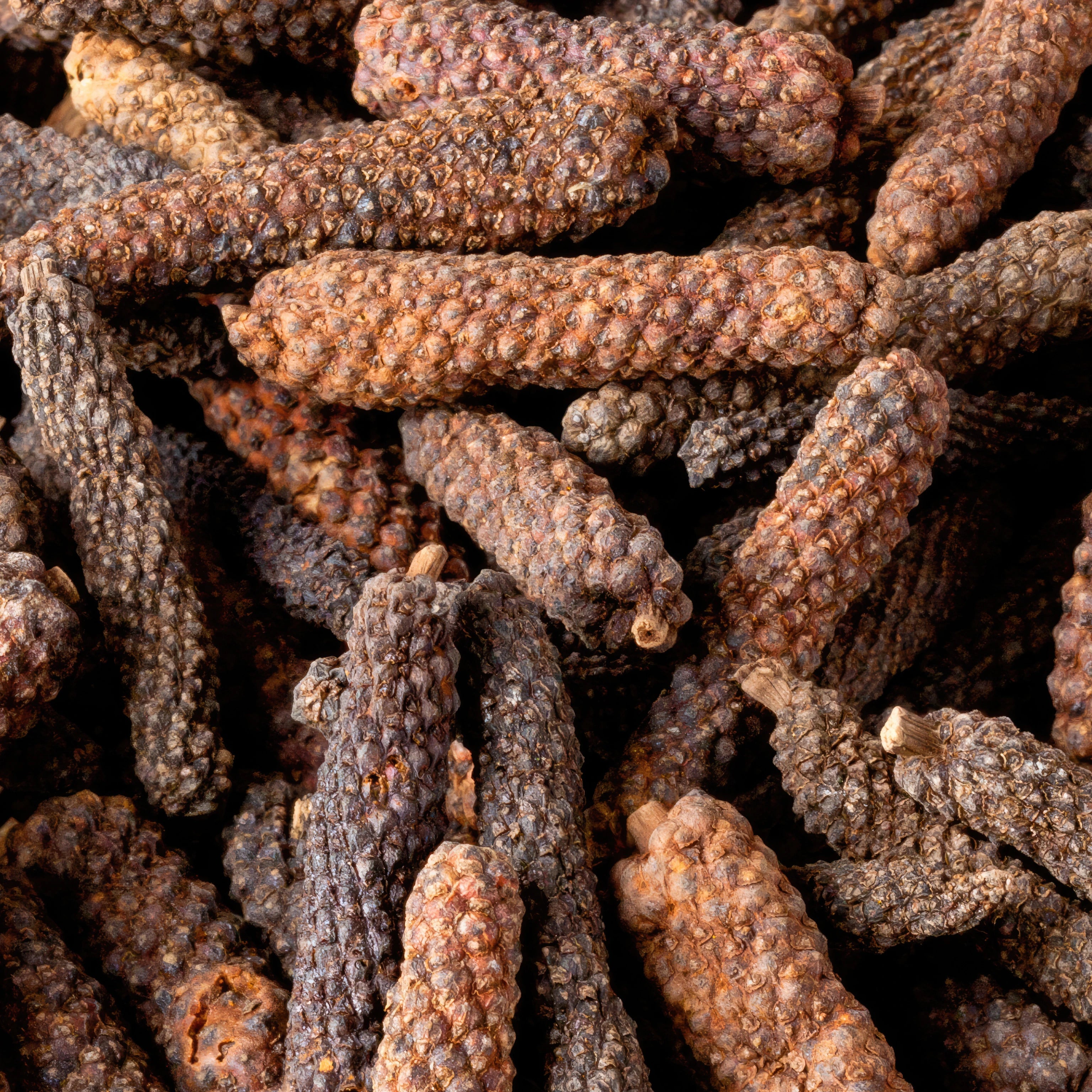 Organic India